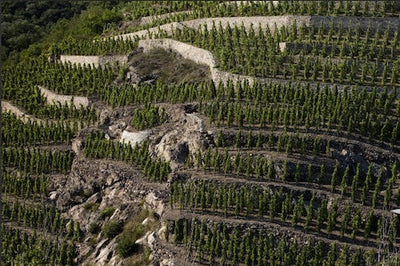 2011 Marie et Pierre Benetière Côte Rôtie 'Cordeloux'