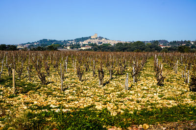 Mas de Boislauzon CDP: 1996-2013