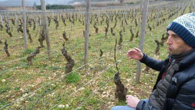 First Fruits: 2021 Duroché Chambolle 1er Cru 'Les Fuées'