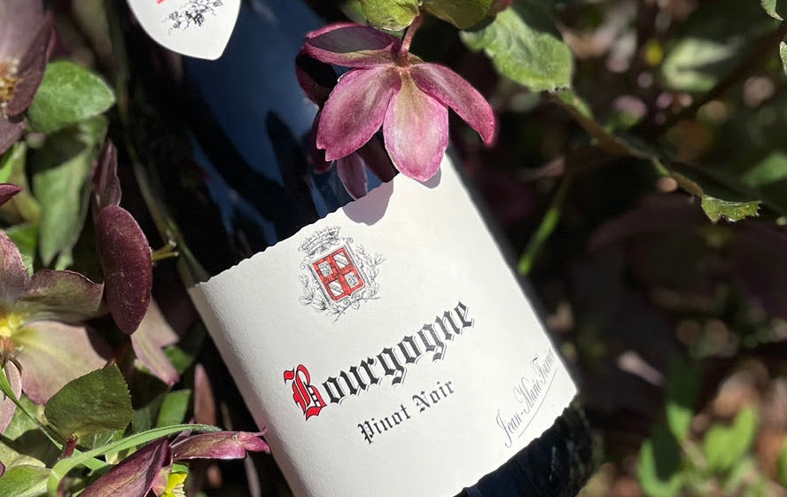 2020 Jean-Marie Fourrier Bourgogne Rouge – Somm Cellars