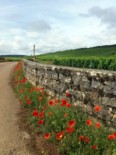 2017 Red Burgundy: A Favorites List