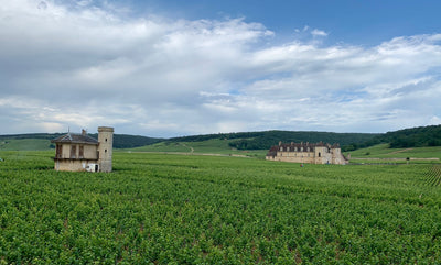 2019 Pre-Arrival Burgundy Campaign