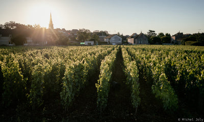 2014 Roulot Bourgogne Blanc